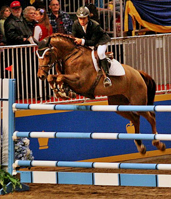 Bhaskar DasGupta - 2009 Senior Team Member North American Young Riders Championships - Chris Delia Stables Hunter Jumper Sales Training Equitation Horses for Sale Grand Prix Showjumping Toronto Ontario