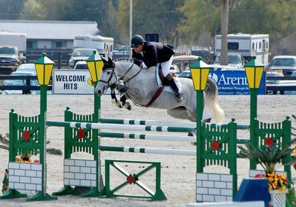 Hunter Jumper Equitation Coaching Toronto Ontario Showjumping Training Horse Rider GTA Hunter Jumper Sales Training Equitation Horses for Sale Grand Prix Showjumping Chris Delia Stables Toronto Ontario Canada