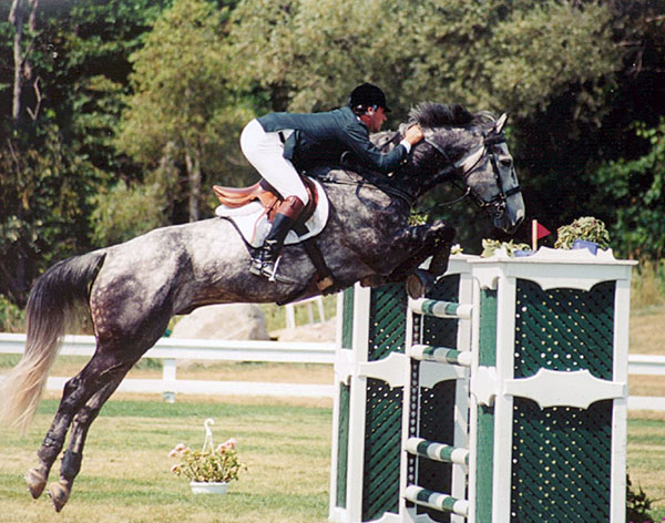 Chris Delia Stables Hunter Jumper Sales Training Equitation Horses for Sale Grand Prix Showjumping Toronto Ontario