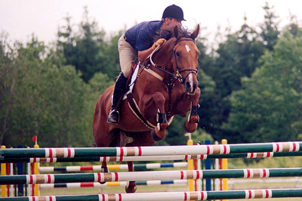 Chris Delia Stables is a full-service 'A' circuit show barn offering individualized coaching programs for hunter, jumper and equitation riders.